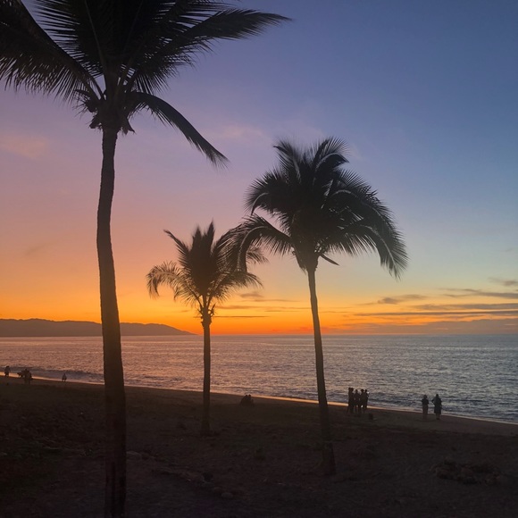 Meet your Posher, Steve - Picture 4 of 7